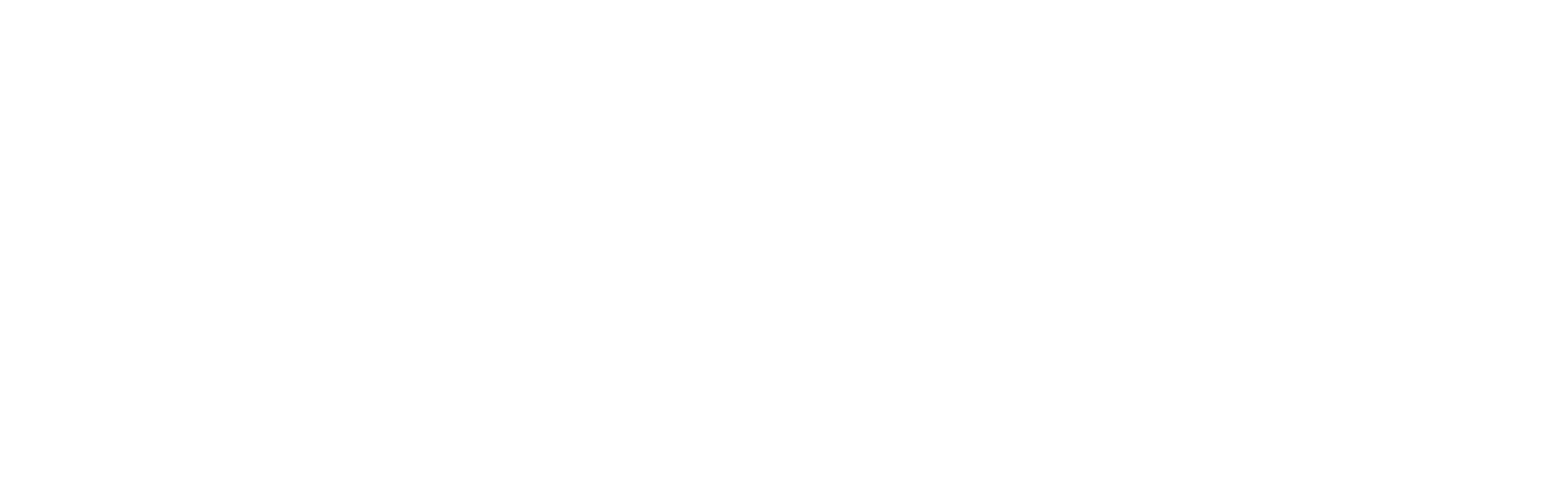 IGFAE-USC Logo